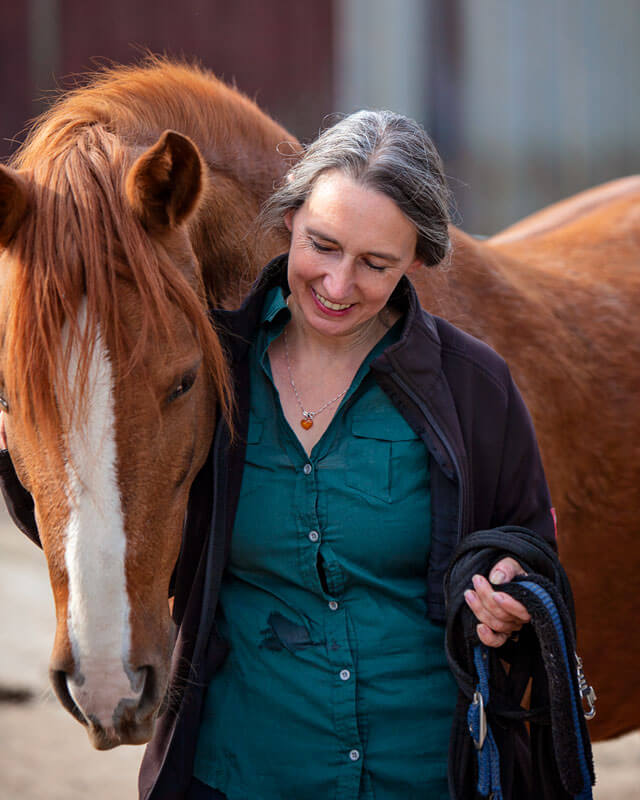 Pferdegestützte Interventionen - das Pferd als Trainer