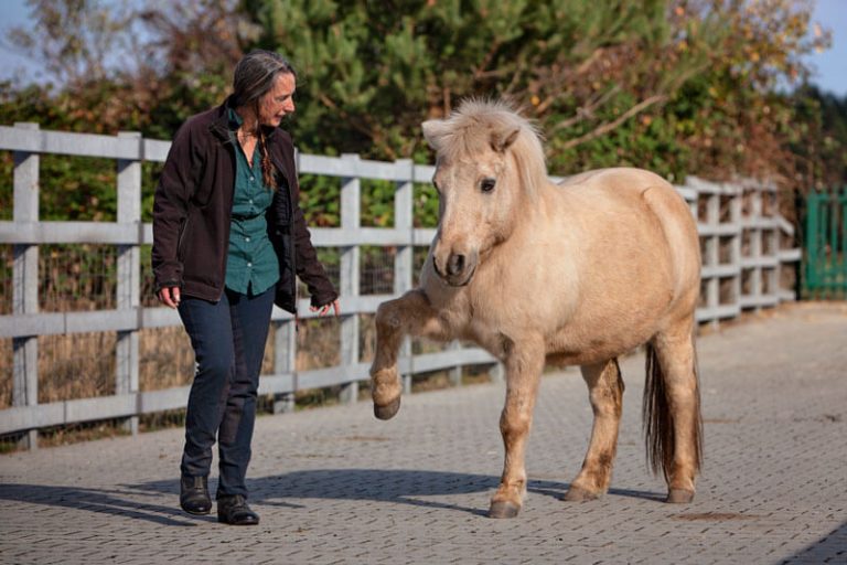 Reittherapie für Kinder und Jugendliche in Drebkau bei Cottbus