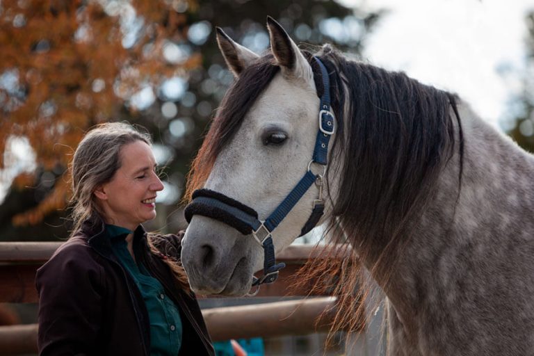 Workshop gegen Angst mit Pony und Pferd